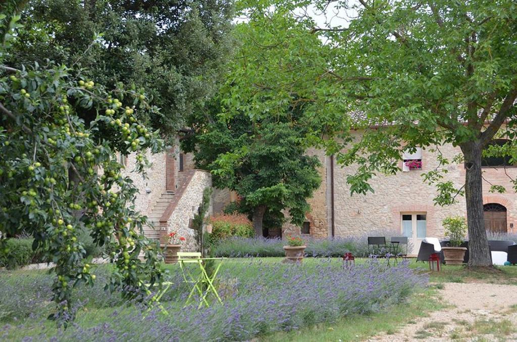 Agriturismo La Segolina Colle Val D'Elsa Luaran gambar