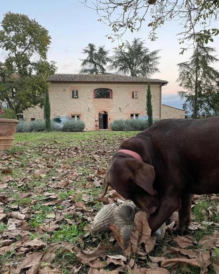 Agriturismo La Segolina Colle Val D'Elsa Luaran gambar