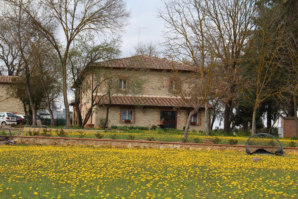 Agriturismo La Segolina Colle Val D'Elsa Luaran gambar