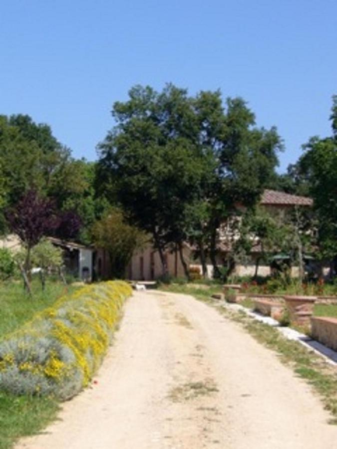 Agriturismo La Segolina Colle Val D'Elsa Luaran gambar